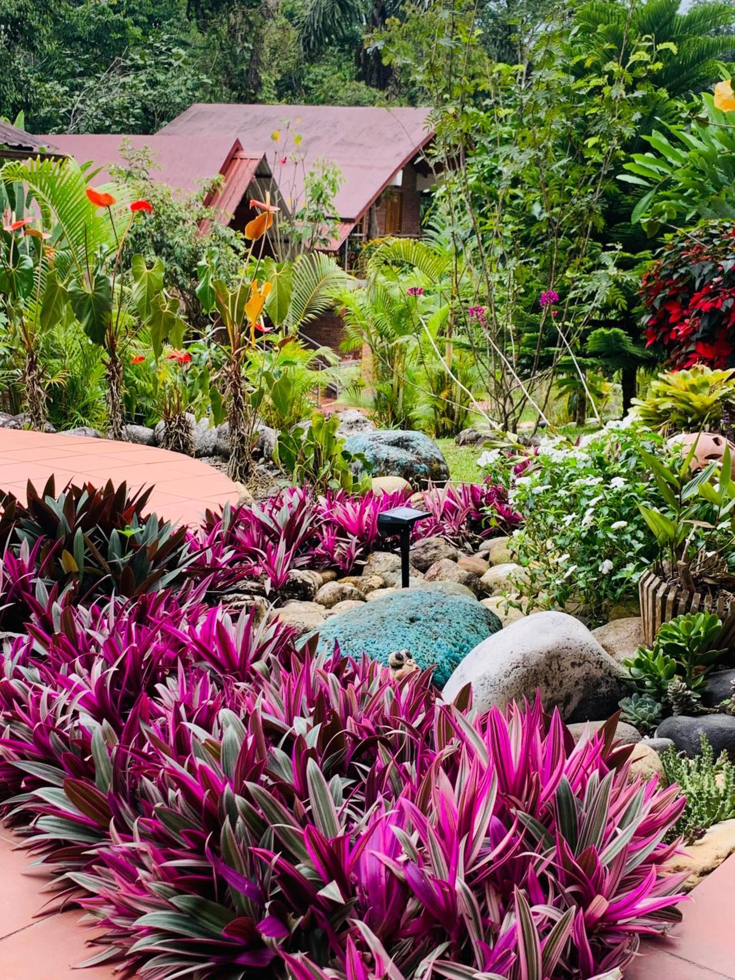 La Casa del Rio B&B Puyo Esterno foto